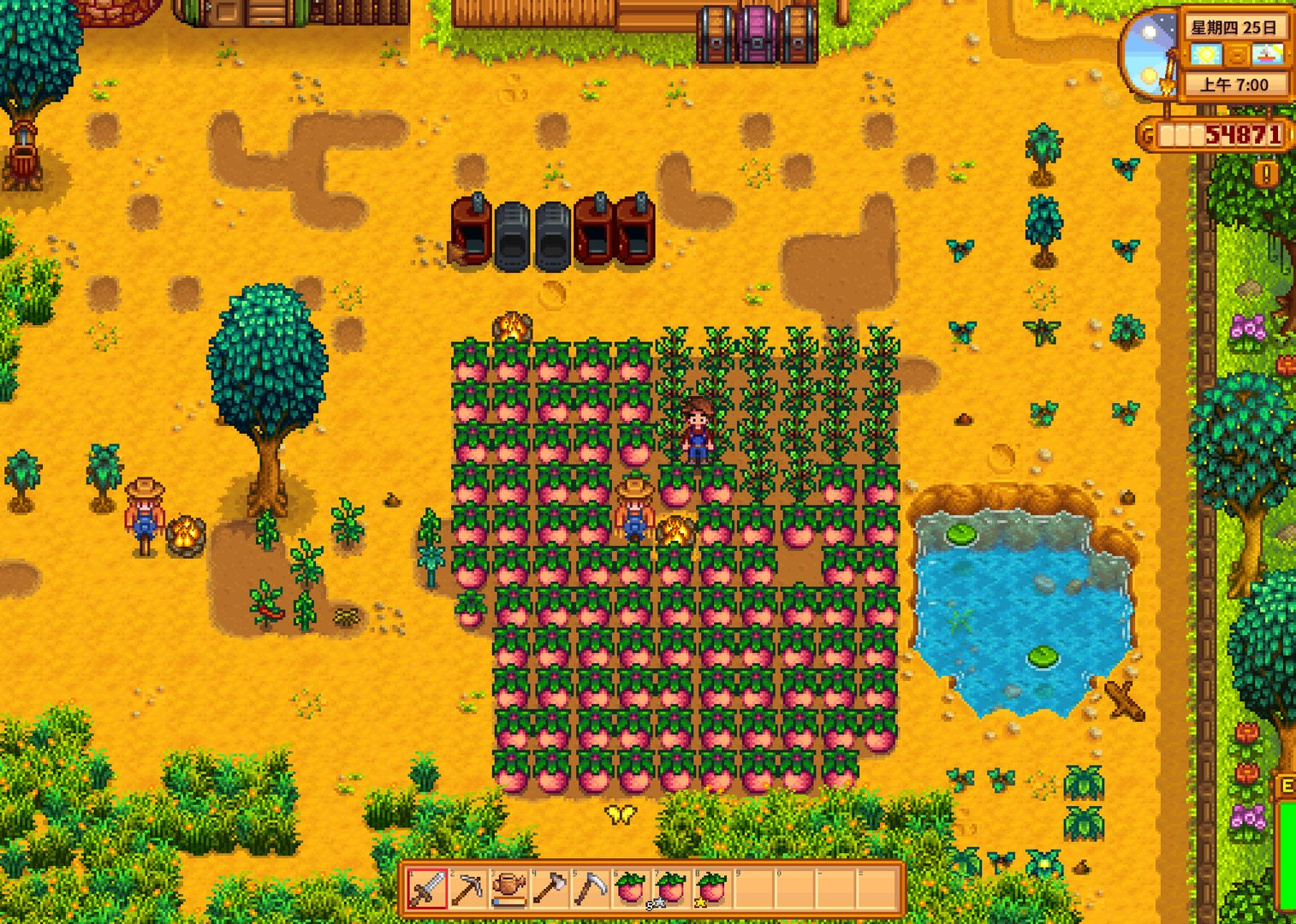 巫师3：狂猎 重制版 截图11